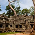 Ta Prohm Tempel