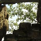 Ta Prohm Tempel (Kamobdscha)