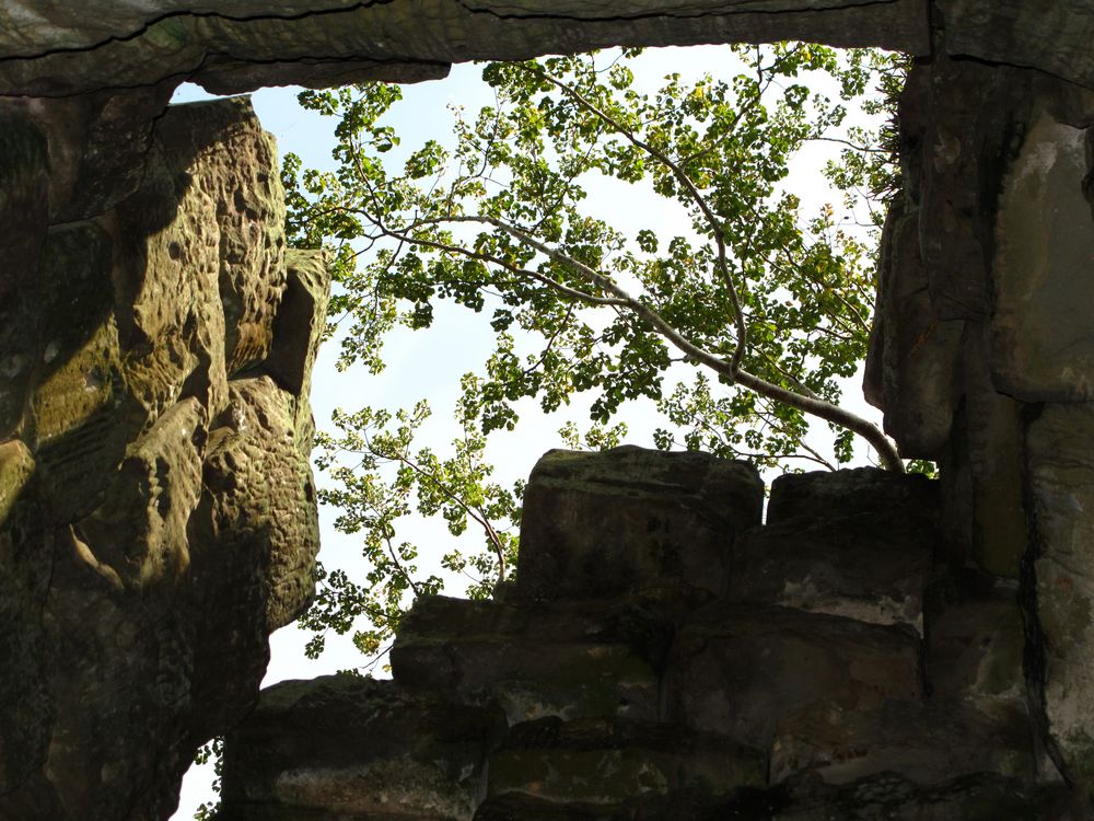 Ta Prohm Tempel (Kamobdscha)