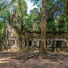 Ta Prohm Temple