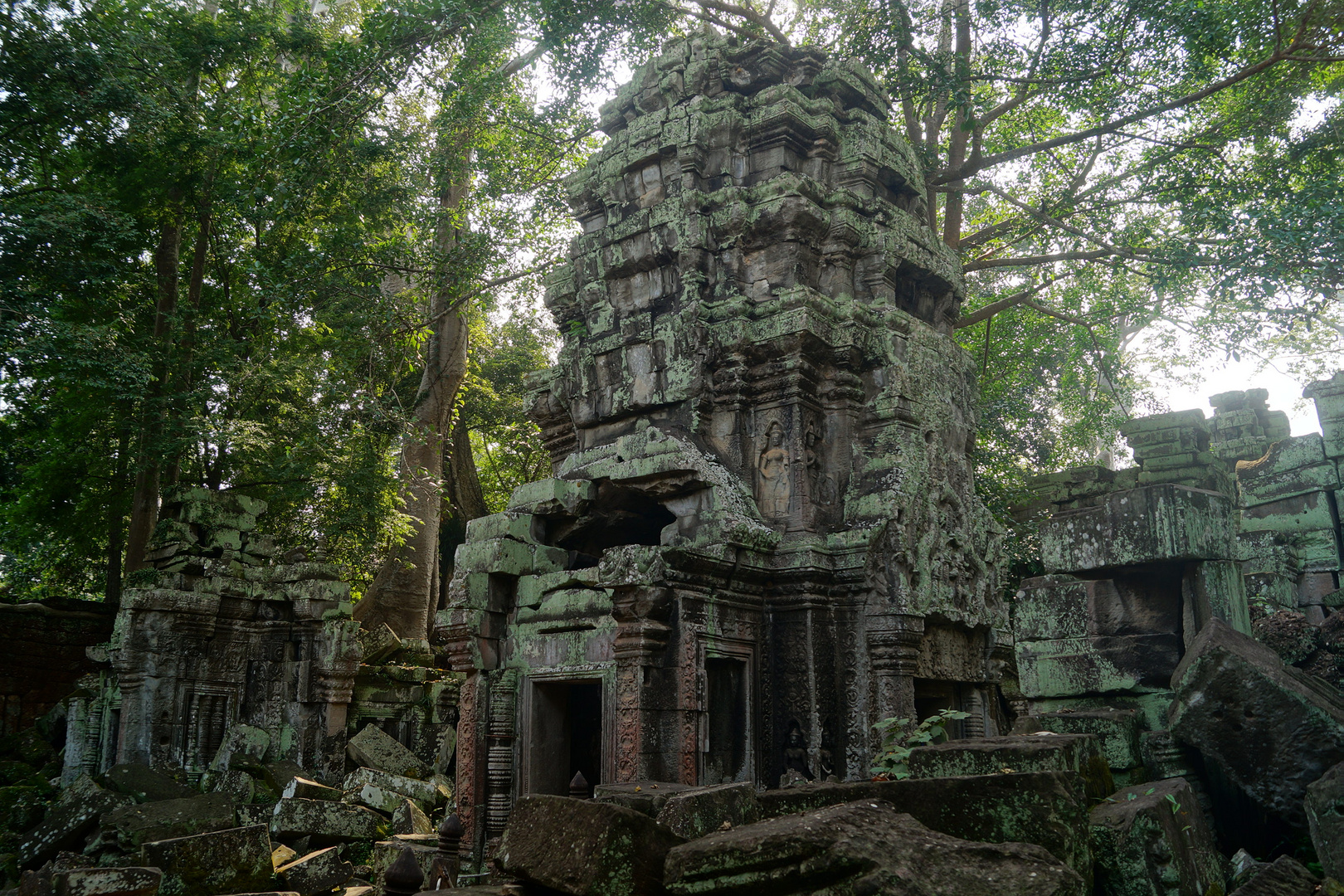 Ta Prohm Temple