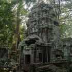 Ta Prohm Temple