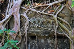 ta prohm temple