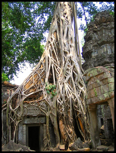 ta prohm temple