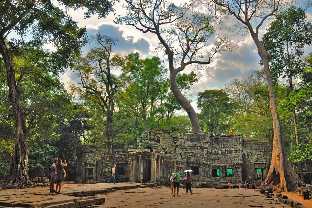 Ta Prohm the temple of the Strangler Figs