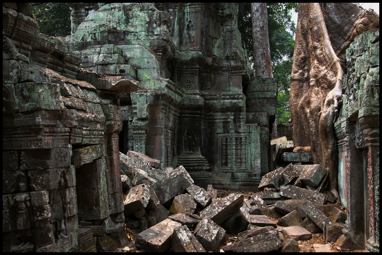 Ta Prom Temple in Angkor, Cambodia