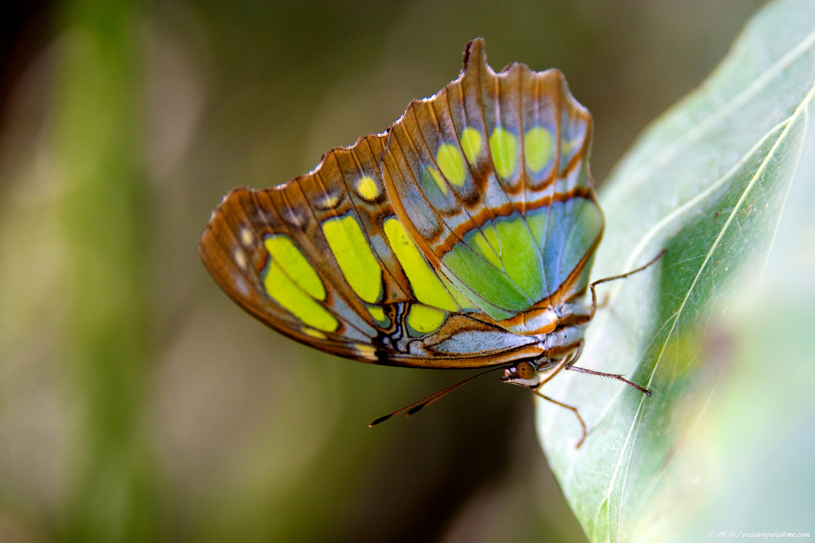 Ta vus mes couleurs