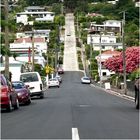 taaaaaaraaaaa- the world steepest street - Baldwin Street