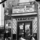 Tabacchi Mule'