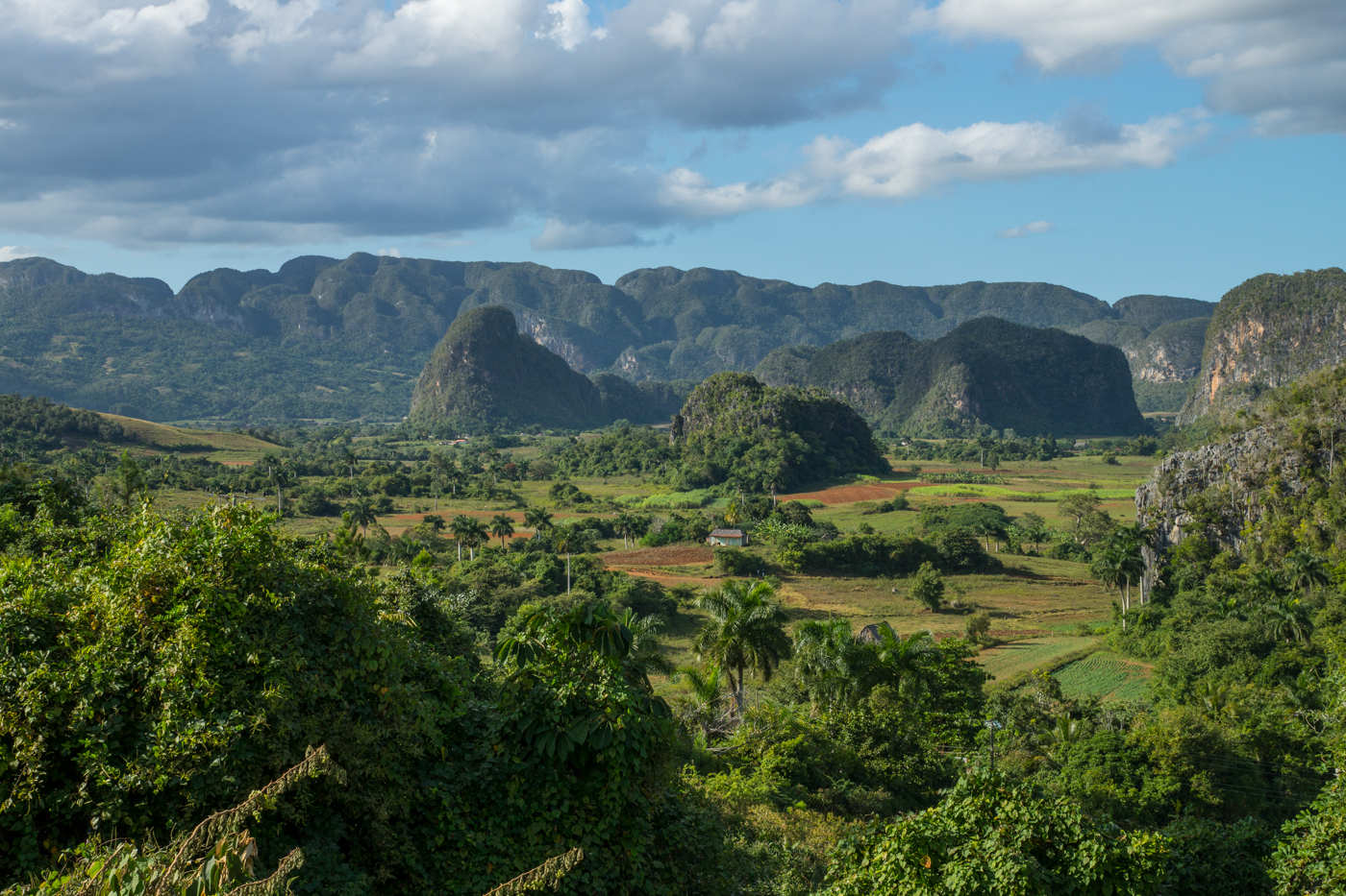 Tabaco country