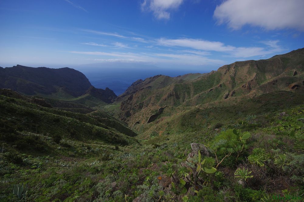 Tabaiba Pass