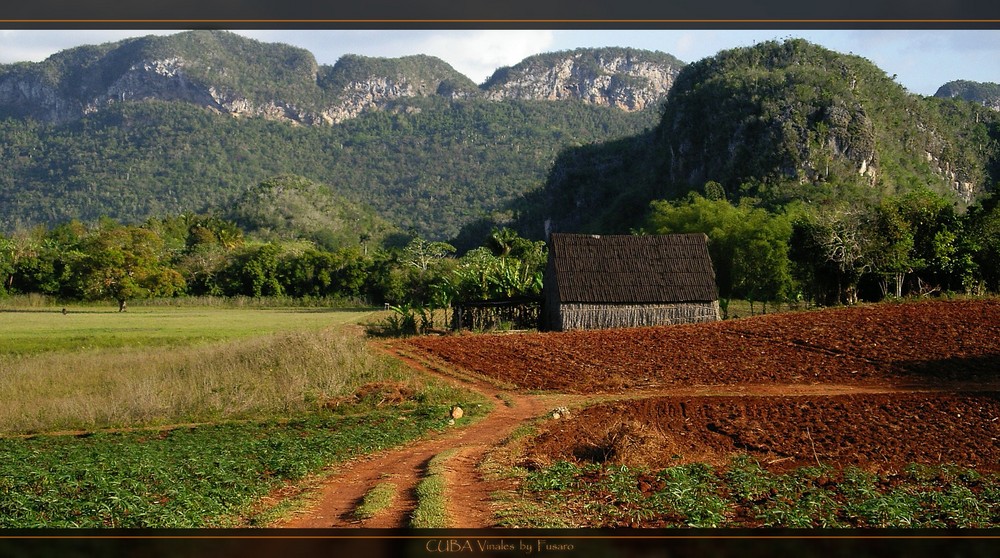 Tabak Scheune im Vinale Tal Cuba