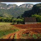 Tabak Scheune im Vinale Tal Cuba