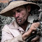 Tabakbauer auf Kuba