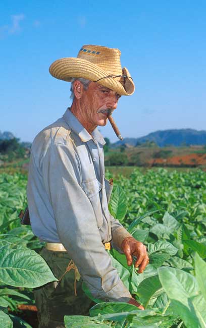 Tabakbauer in Viñales