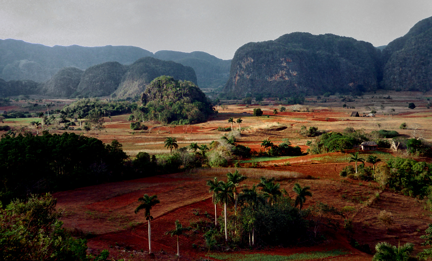 Tabakland Vinales