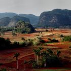 Tabakland Vinales