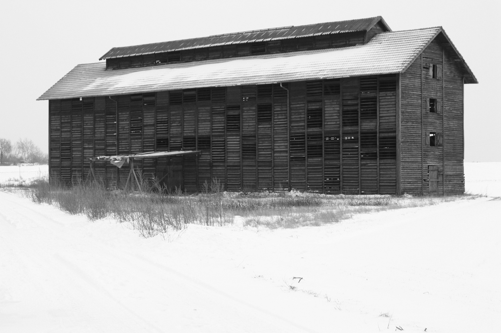 Tabakschuppen in Bellheim