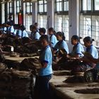 Tabakverarbeitung in Indonesien