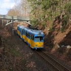 Tabarz, Thüringerwaldbahn Tw 521