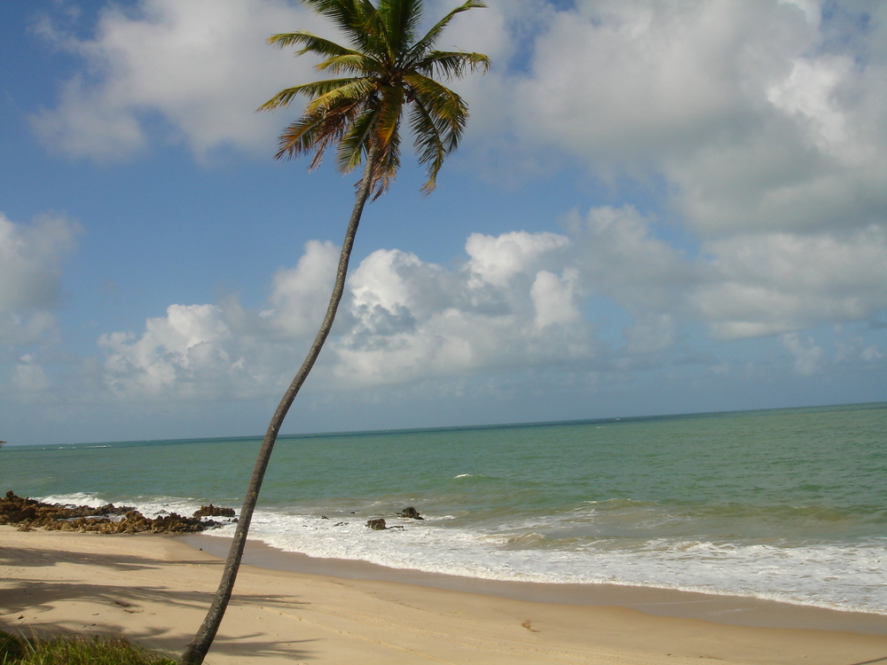 Tabatinga Beach