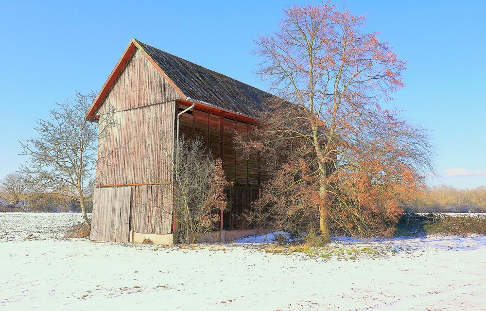 Tabkschuppen in der Südpfalz