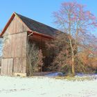 Tabkschuppen in der Südpfalz