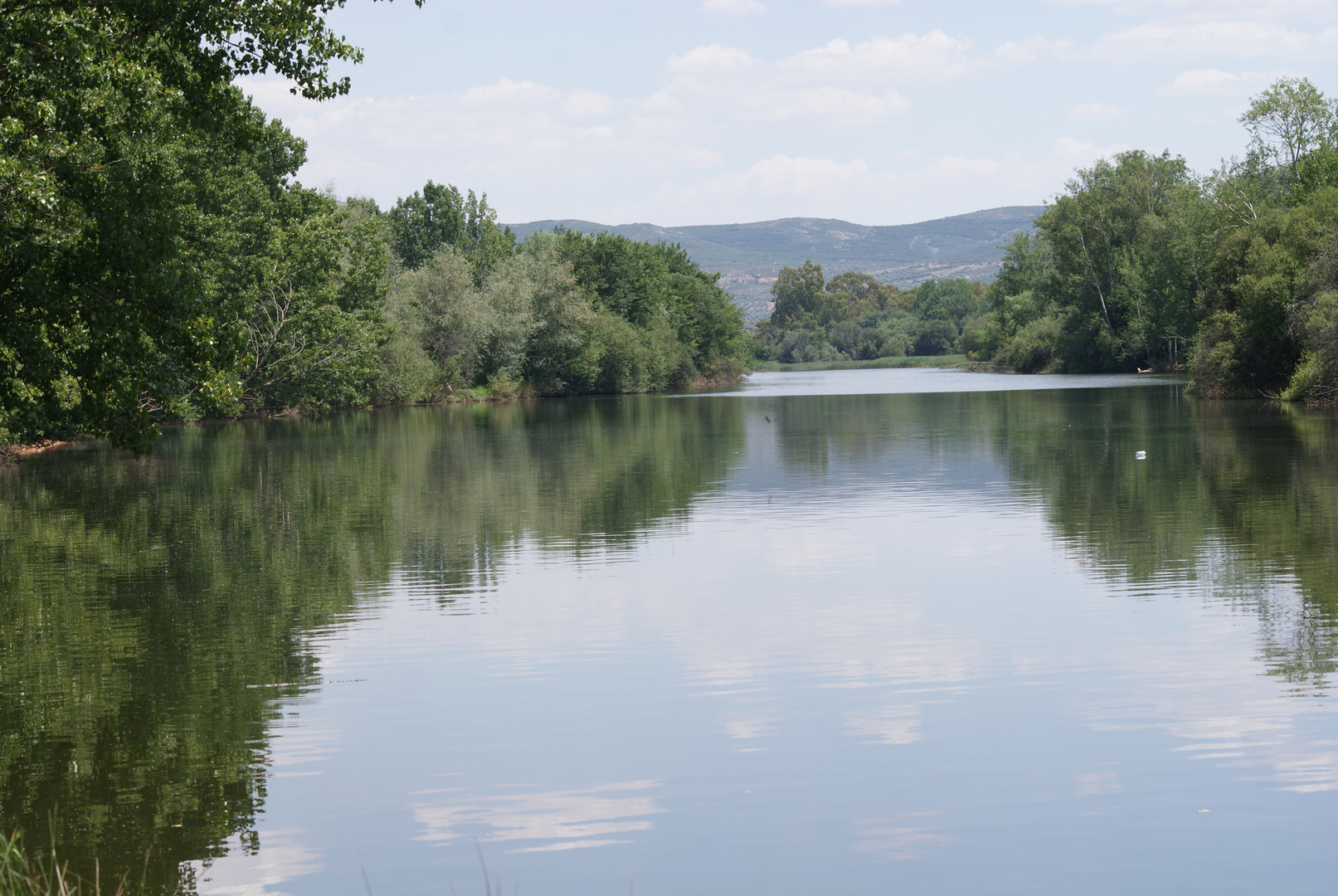 tabla de la yedra Imagen & Foto paisajes, ríos y cascadas, naturaleza