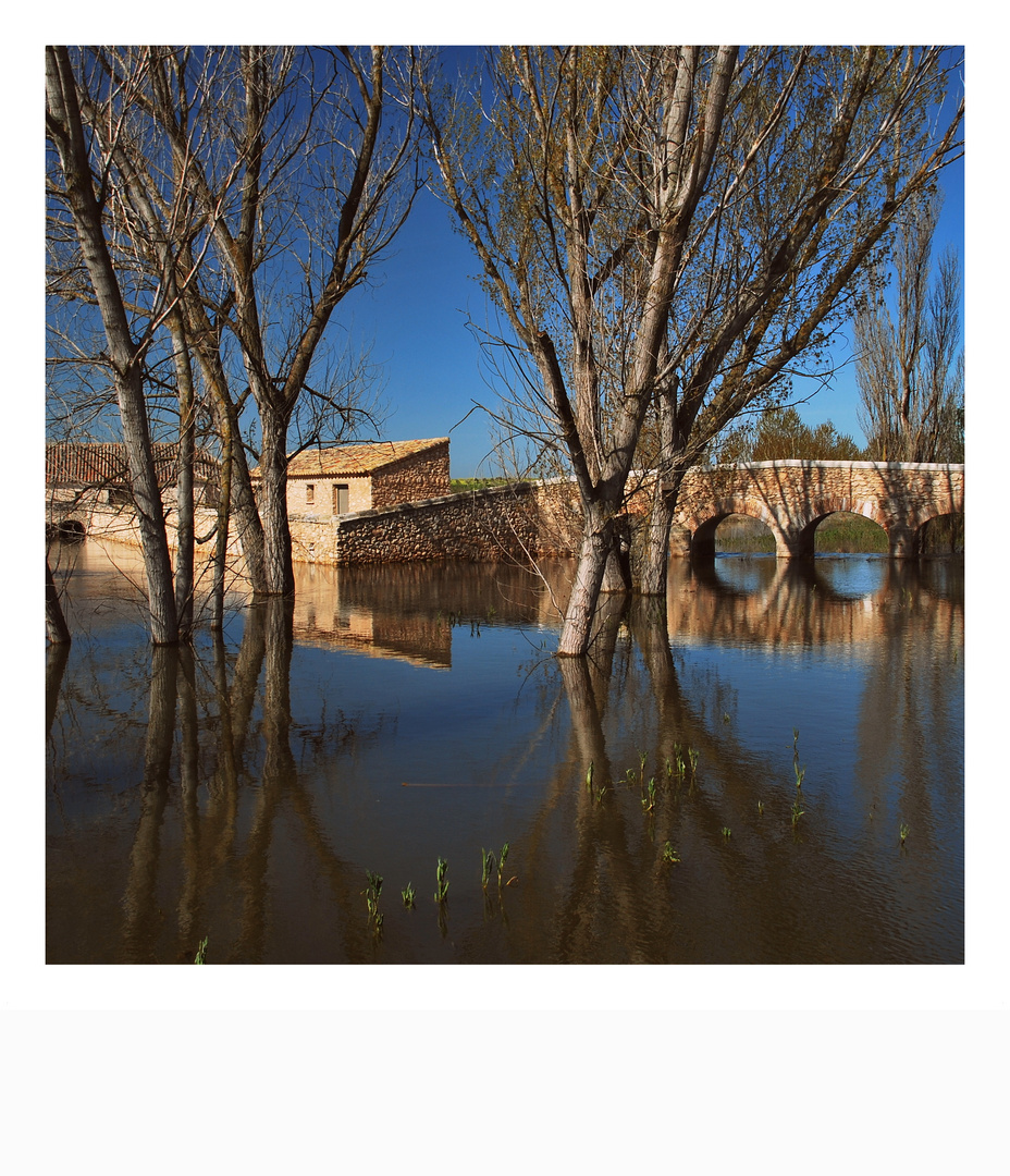 Tablas de Daimiel