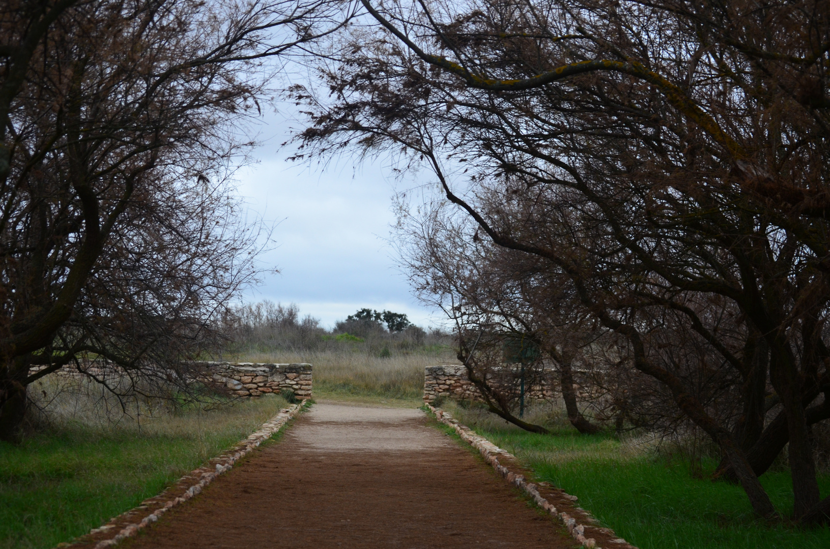 Tablas De Daimiel