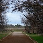 Tablas De Daimiel