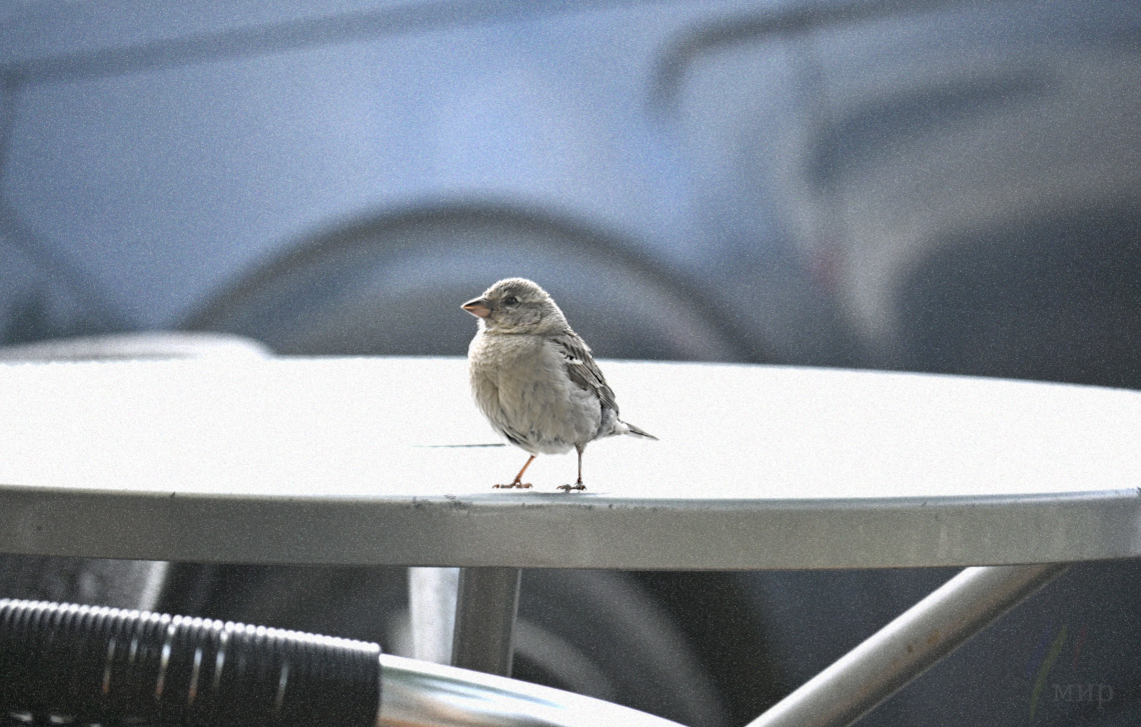 table for one 