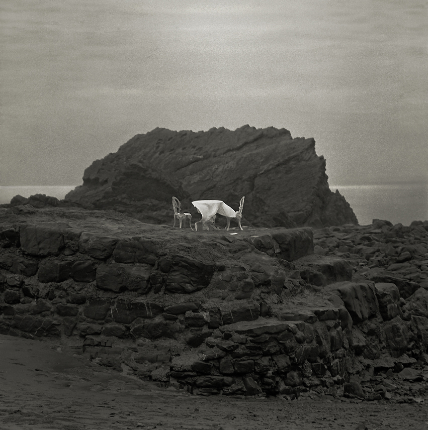 Table for Two (Devon)