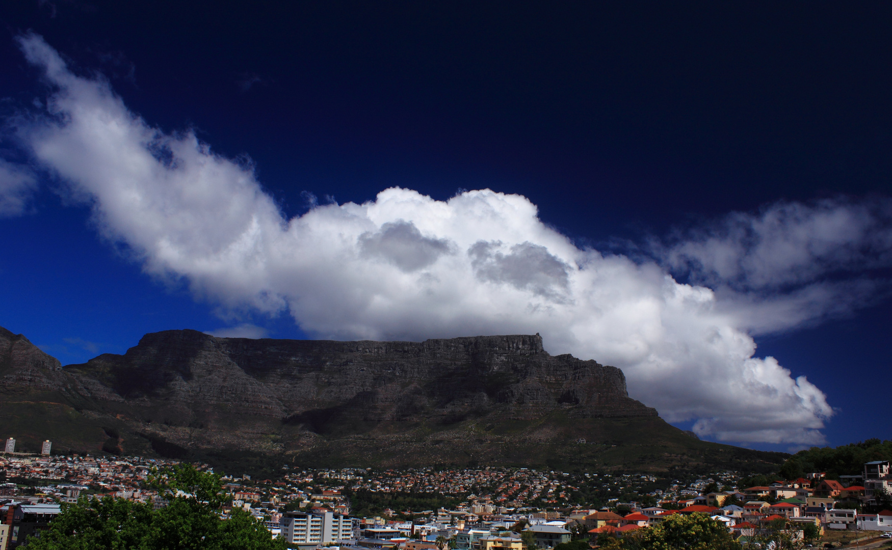 - Table Mountain -