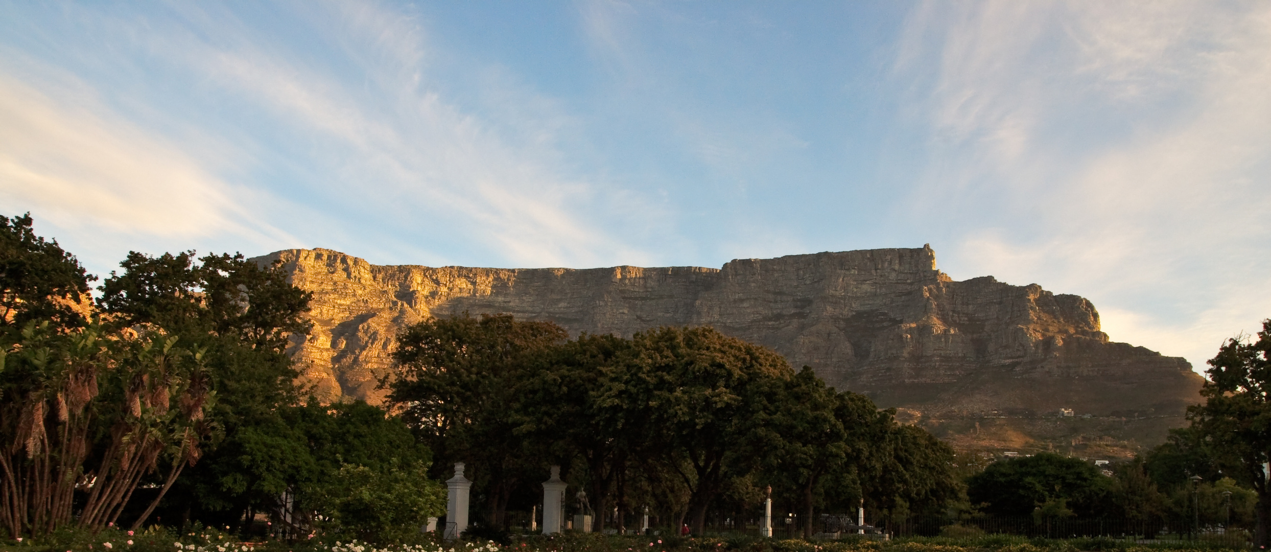 Table Mountain