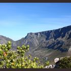 Table Mountain