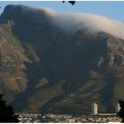 Table Mountain