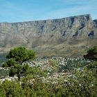 Table-Mountain