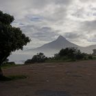 Table Mountain Nationalpark_2