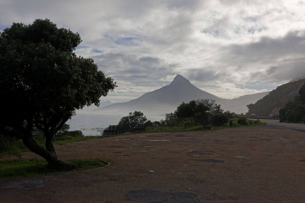 Table Mountain Nationalpark_2 Foto & Bild africa, southern africa