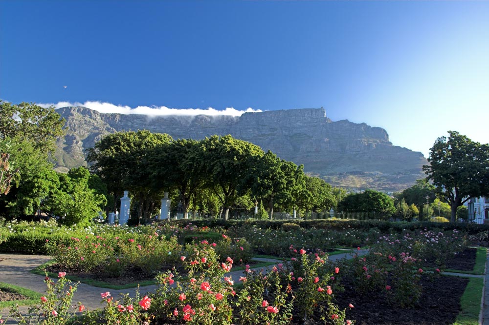 Table Mountain, Tafelberg