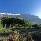 Table Mountain, Tafelberg