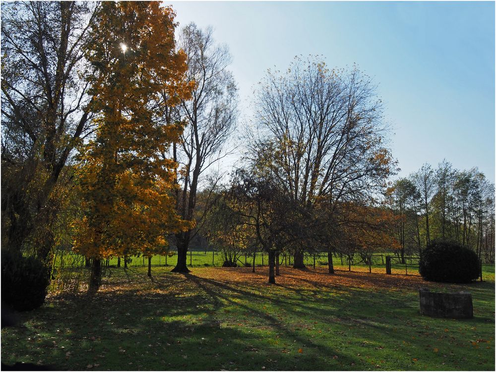 Tableau automnal dans le sud de la Vienne