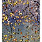 Tableau d'automne