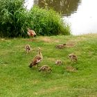 Tableau de famille (1)