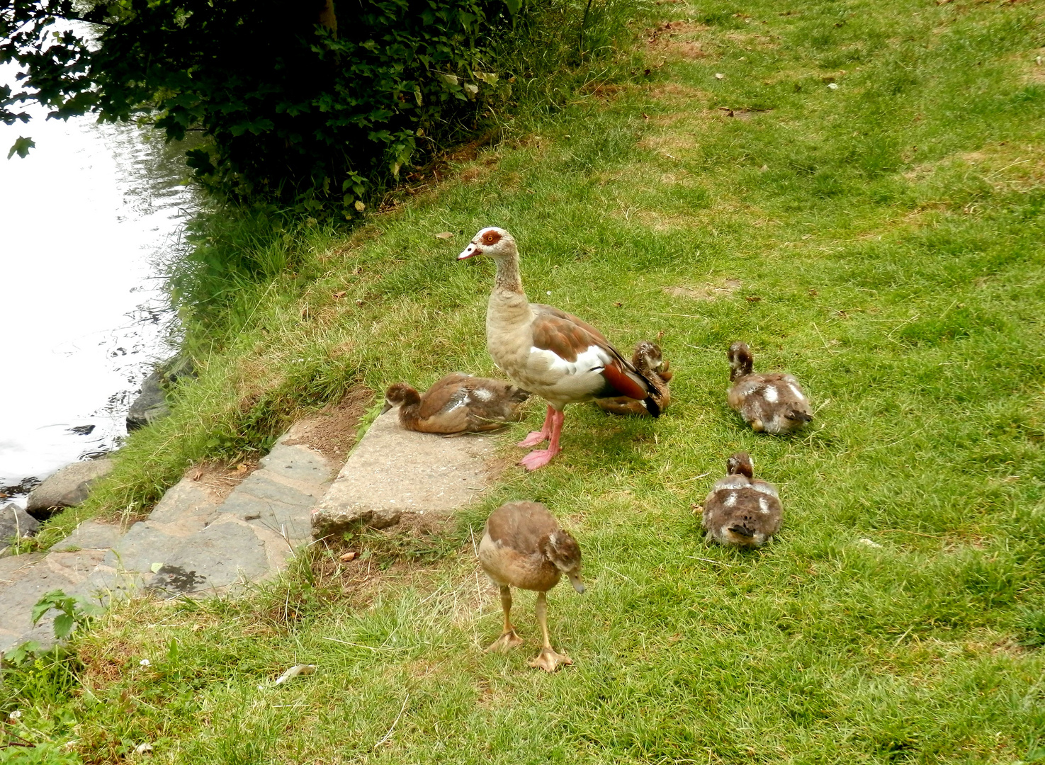 Tableau de famille (3)