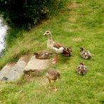 Tableau de famille (3)