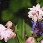 tableau de fleurs