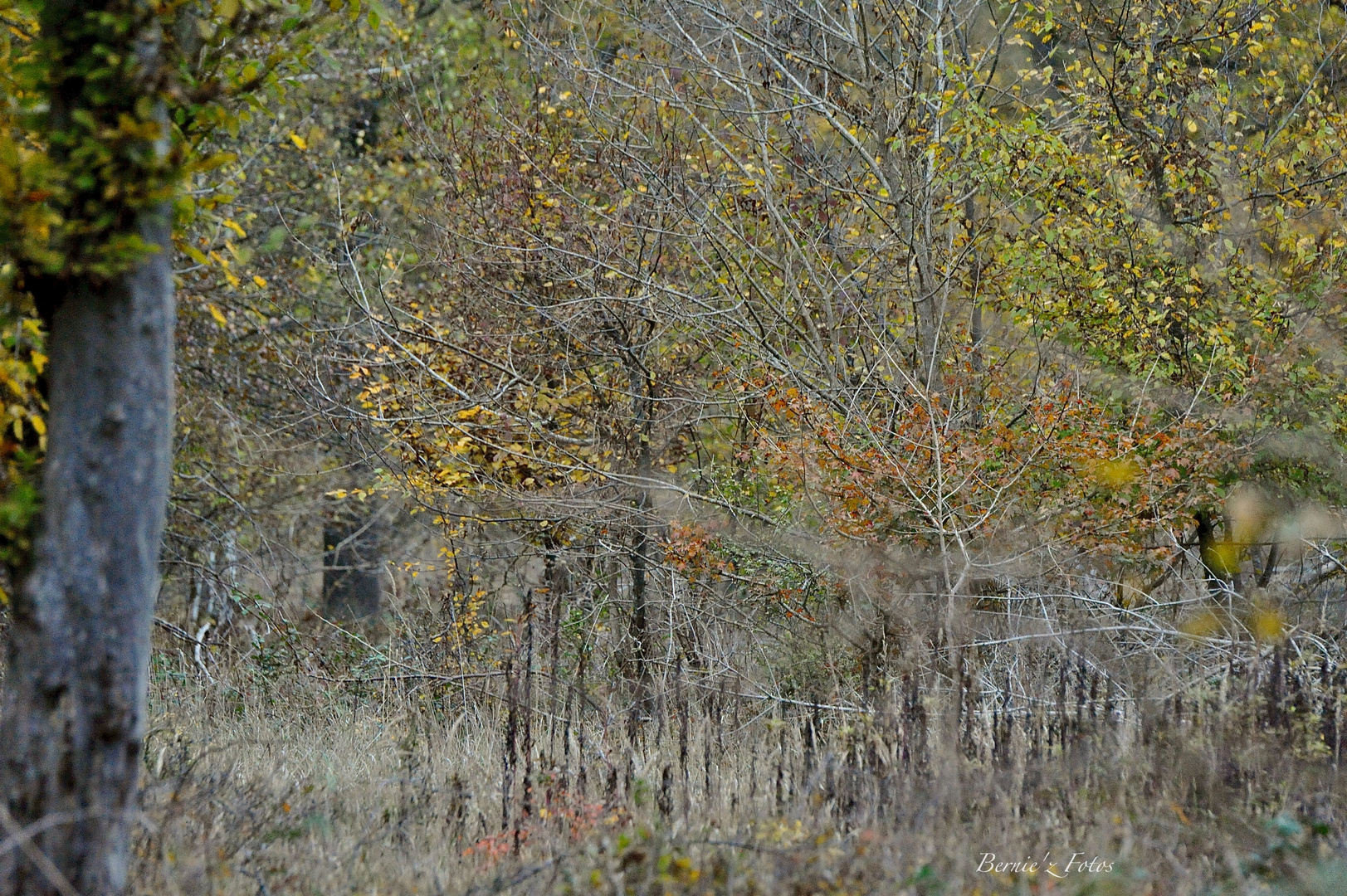 Tableau de mère nature