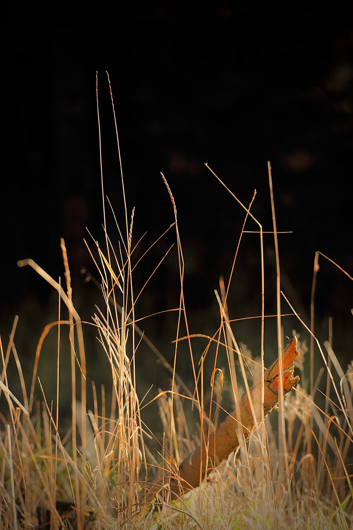 tableau de mère nature